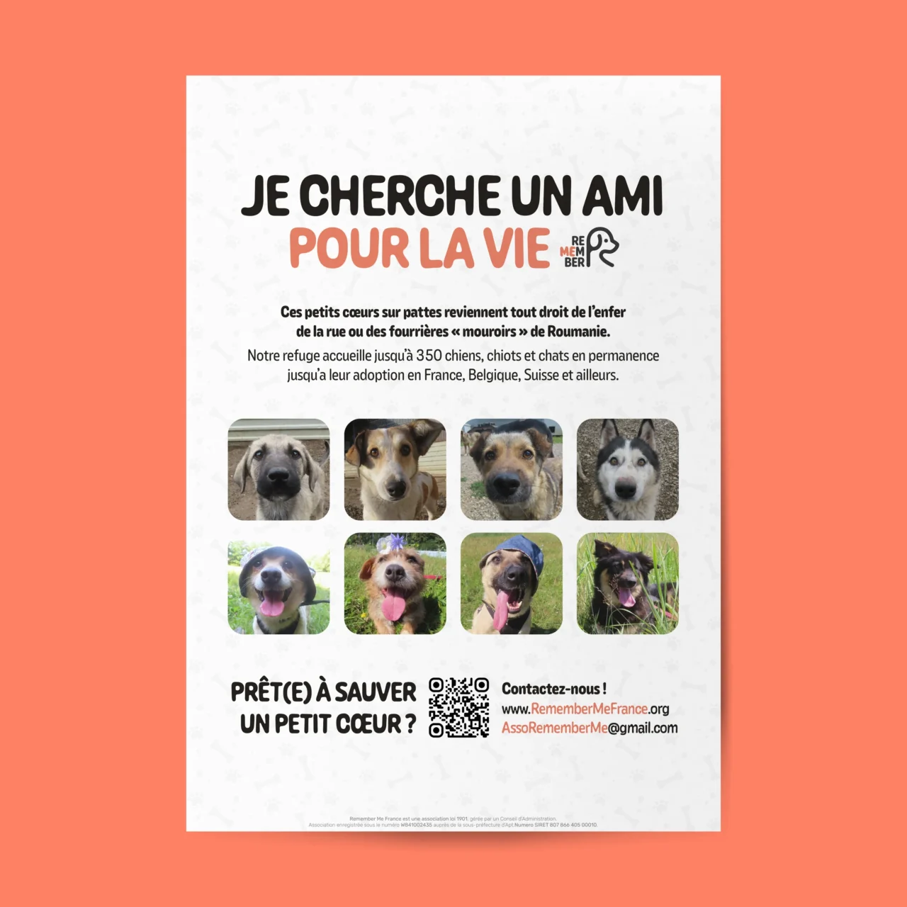 Affiche saumon Remember Me France présentant huit chiens à l’adoption, un message de sensibilisation, les coordonnées de l’association et un QR code.