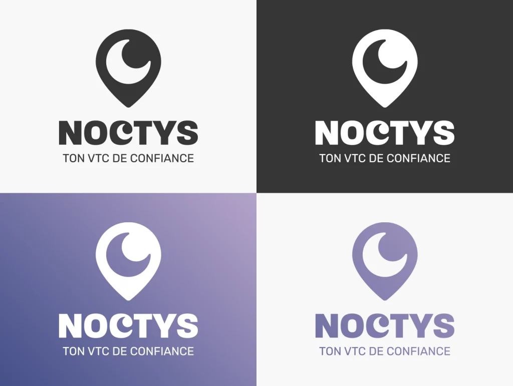Déclinaisons du logo Noctys.