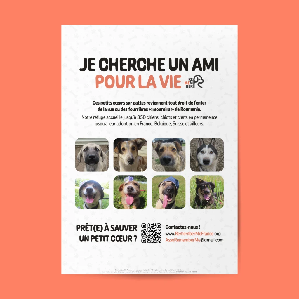 Affiche de l'association Remember Me - Sauvetage et adoption de chien roumains